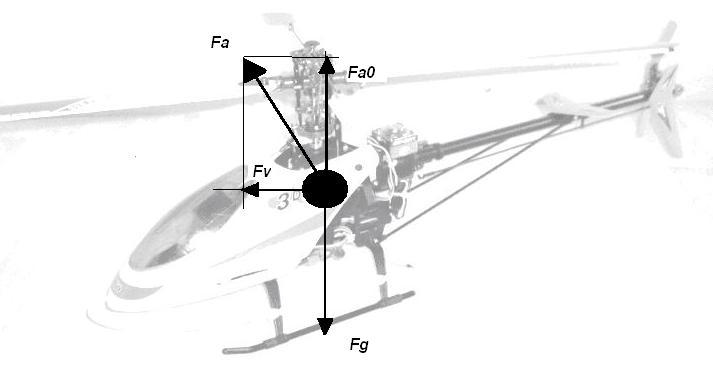 Bild 2; Vorwärsflug