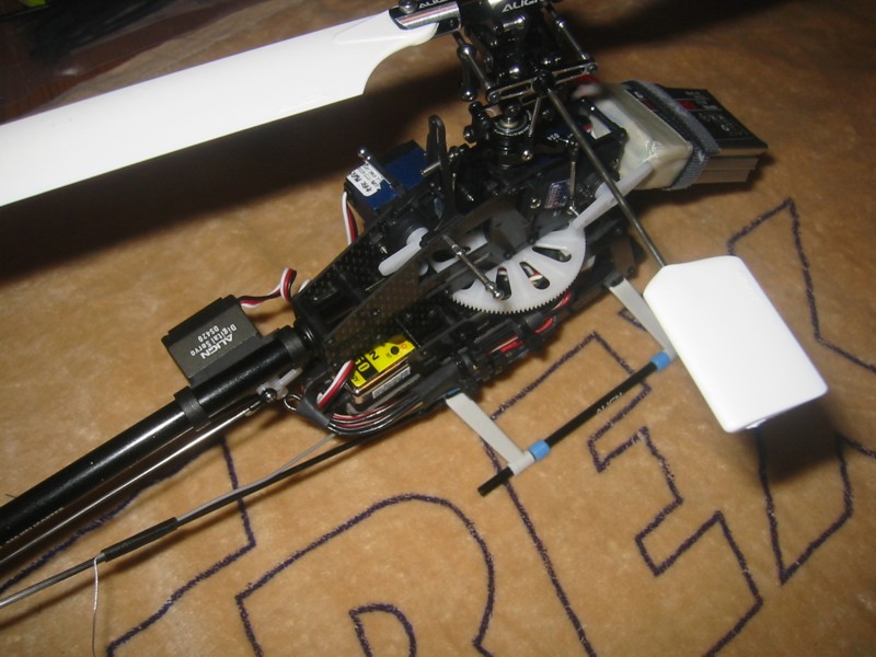 trex250.1.jpg