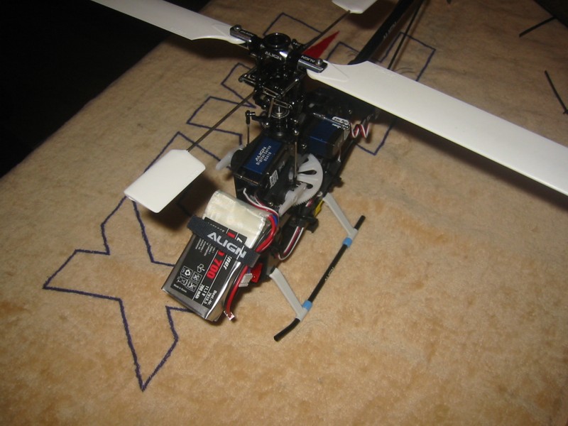 trex250.2.jpg