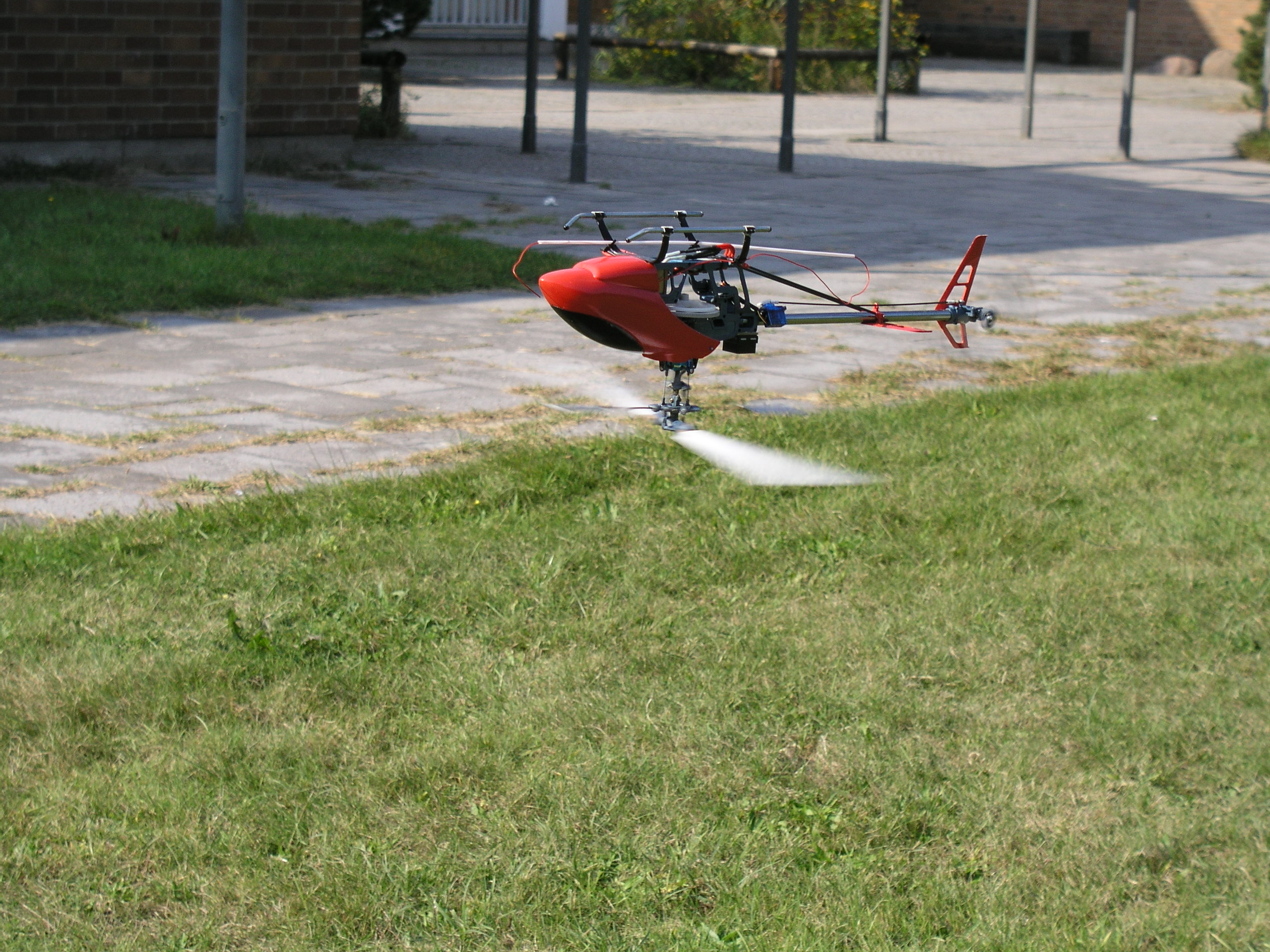 elec_rex auf dem Kopf4.JPG