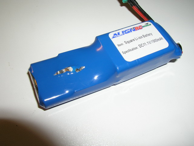P1010001.JPG