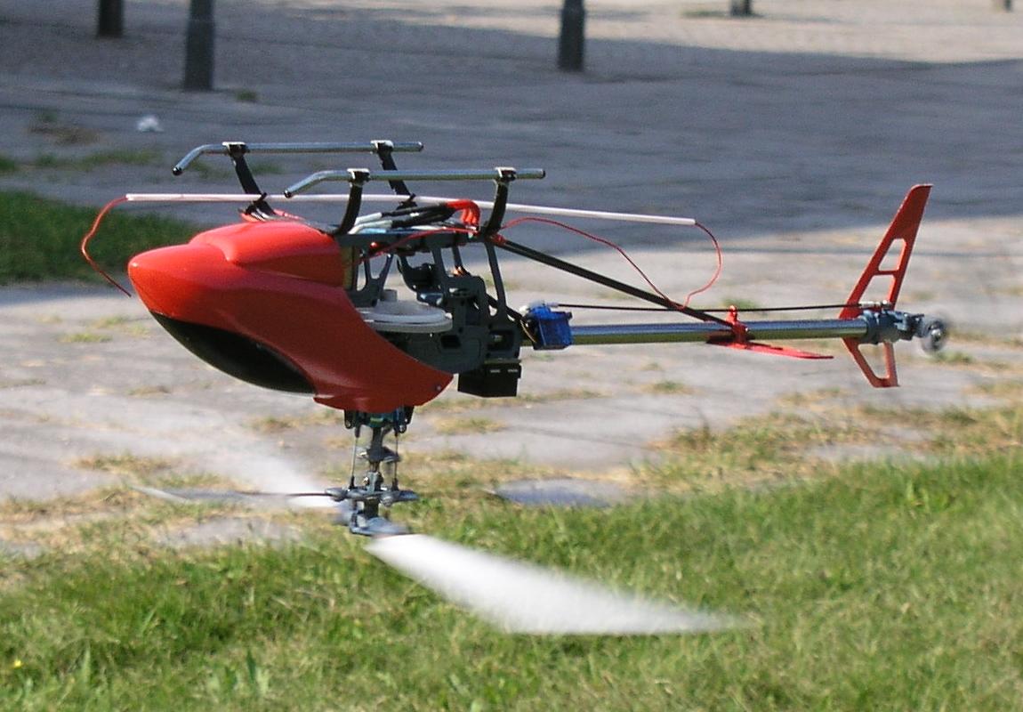 elec_rex auf dem Kopf4klein.JPG