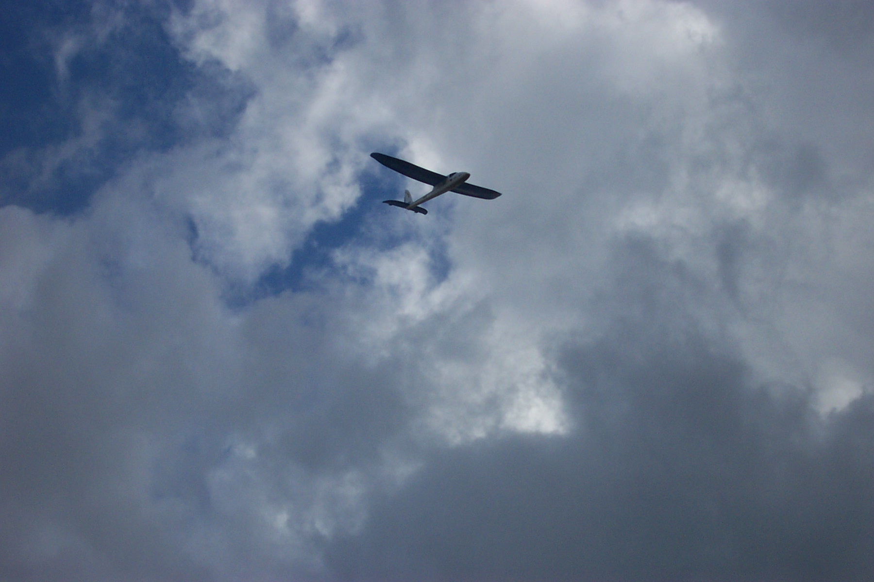 easystar 004.jpg