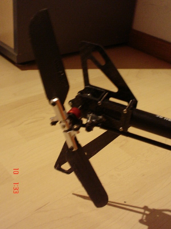DSC01768.JPG