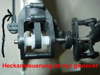 DSC04106hbv.jpg