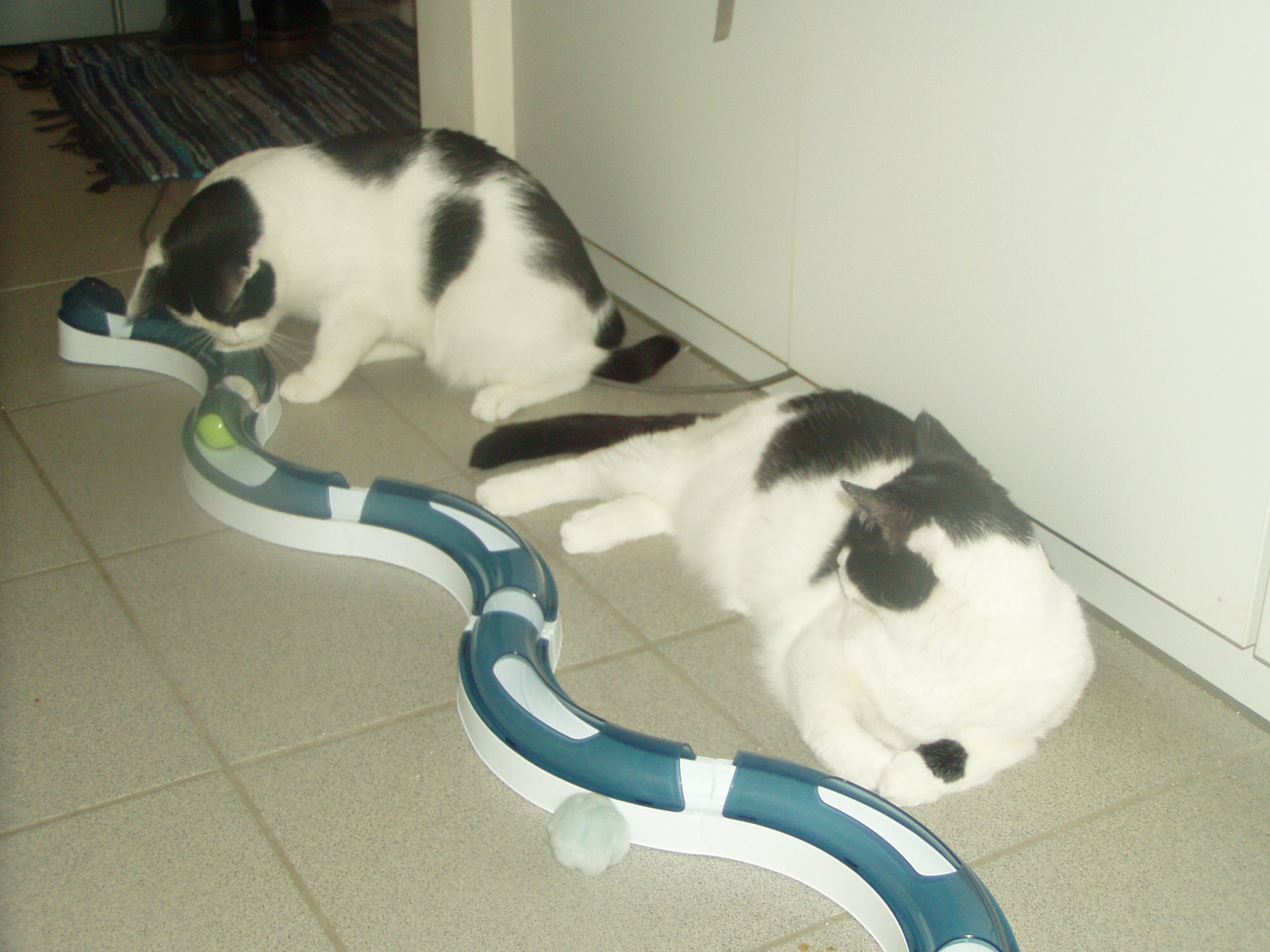 Klaus, Uschi &amp; die Kullerbahn