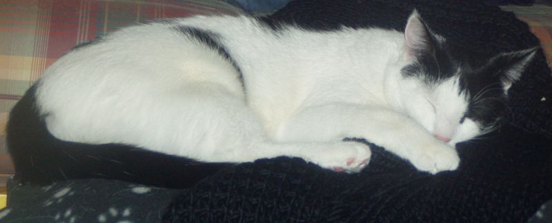 P1010008_small.jpg
