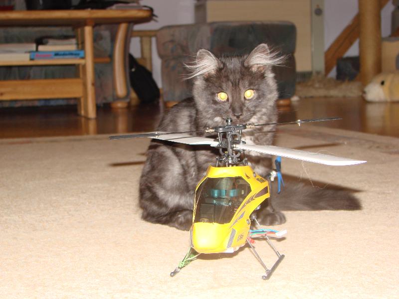 DSC00120_Small.JPG