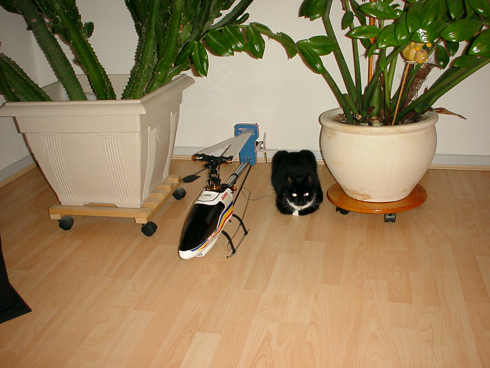 DSC00039.JPG