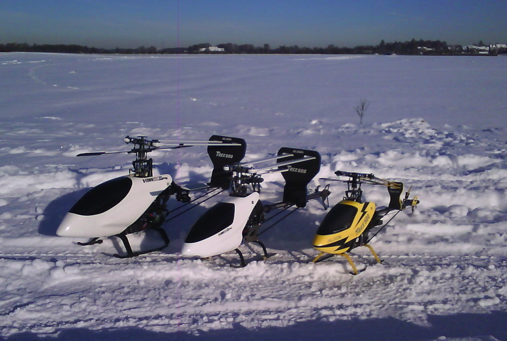 Niggos Drei-Königs-Trio 2009 (T-Rex 600, Hurricane 550, T-Rex 500)