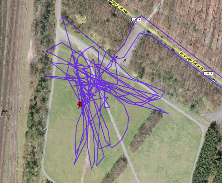 GPS_Flug_21012009.png