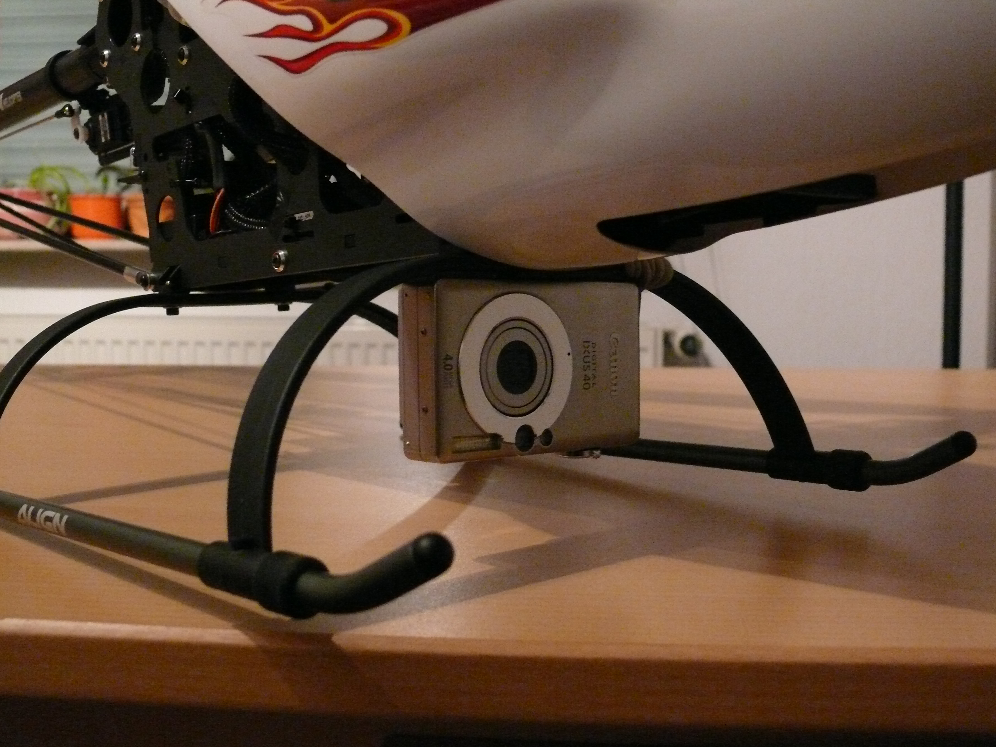 P1000301.JPG