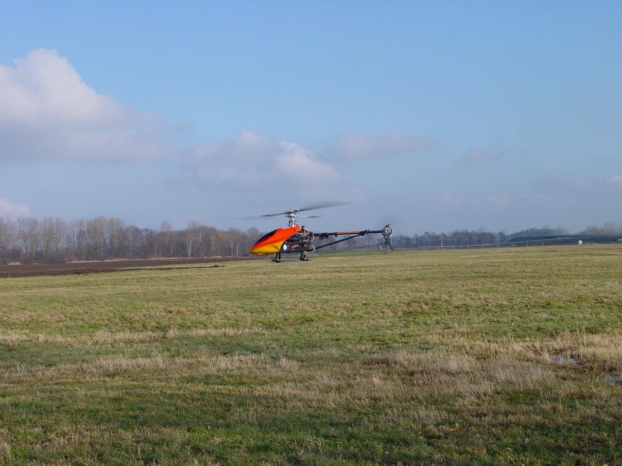 Pikke-THS01.JPG