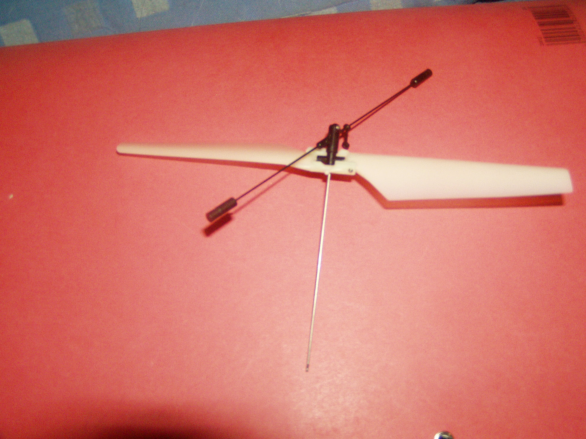 P1010017.JPG