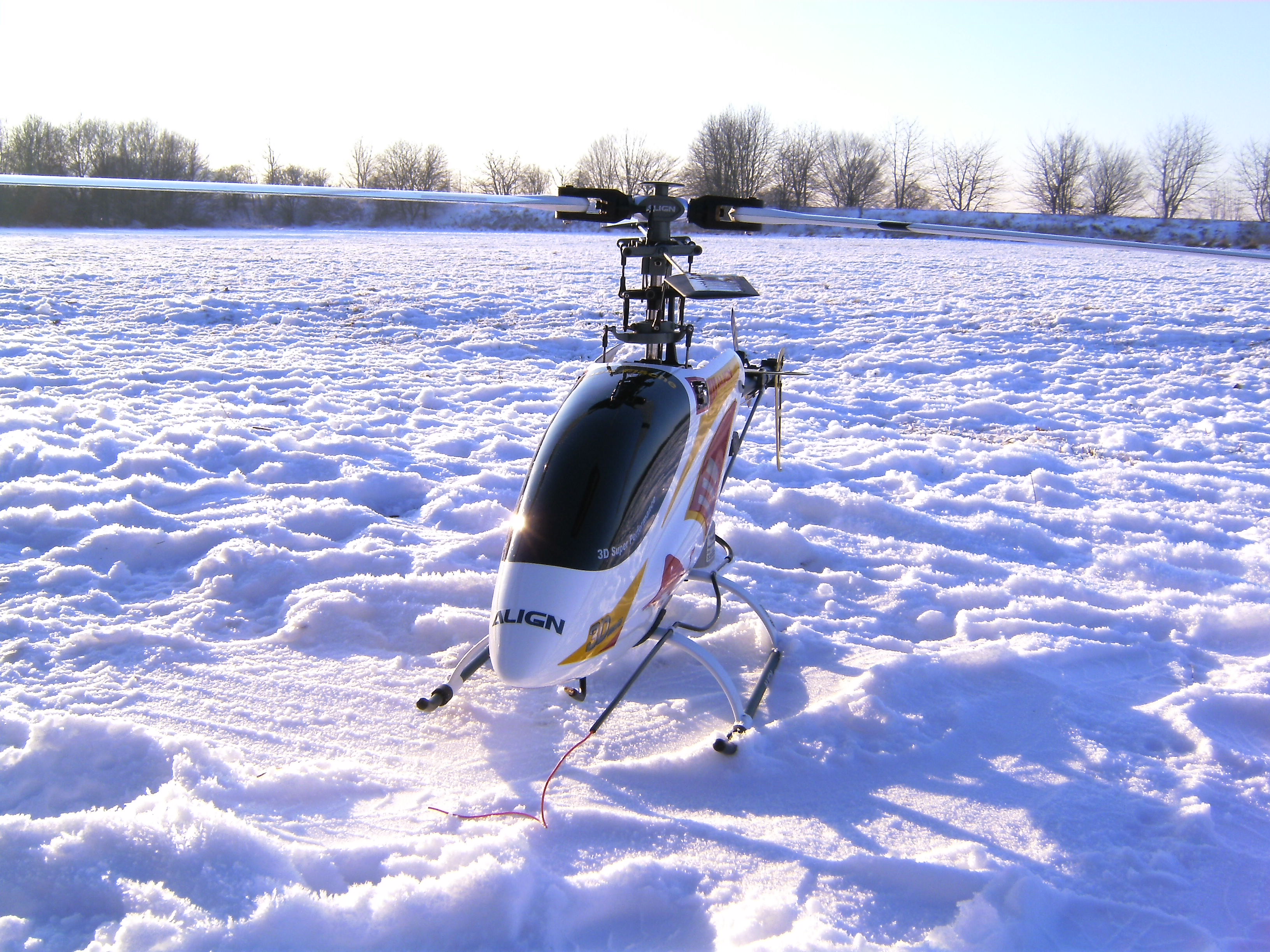 BILD1294.JPG