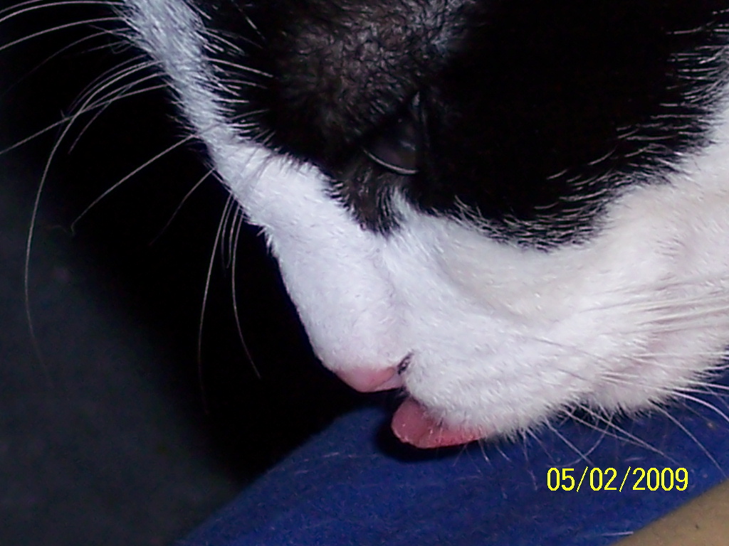 100_1798.JPG