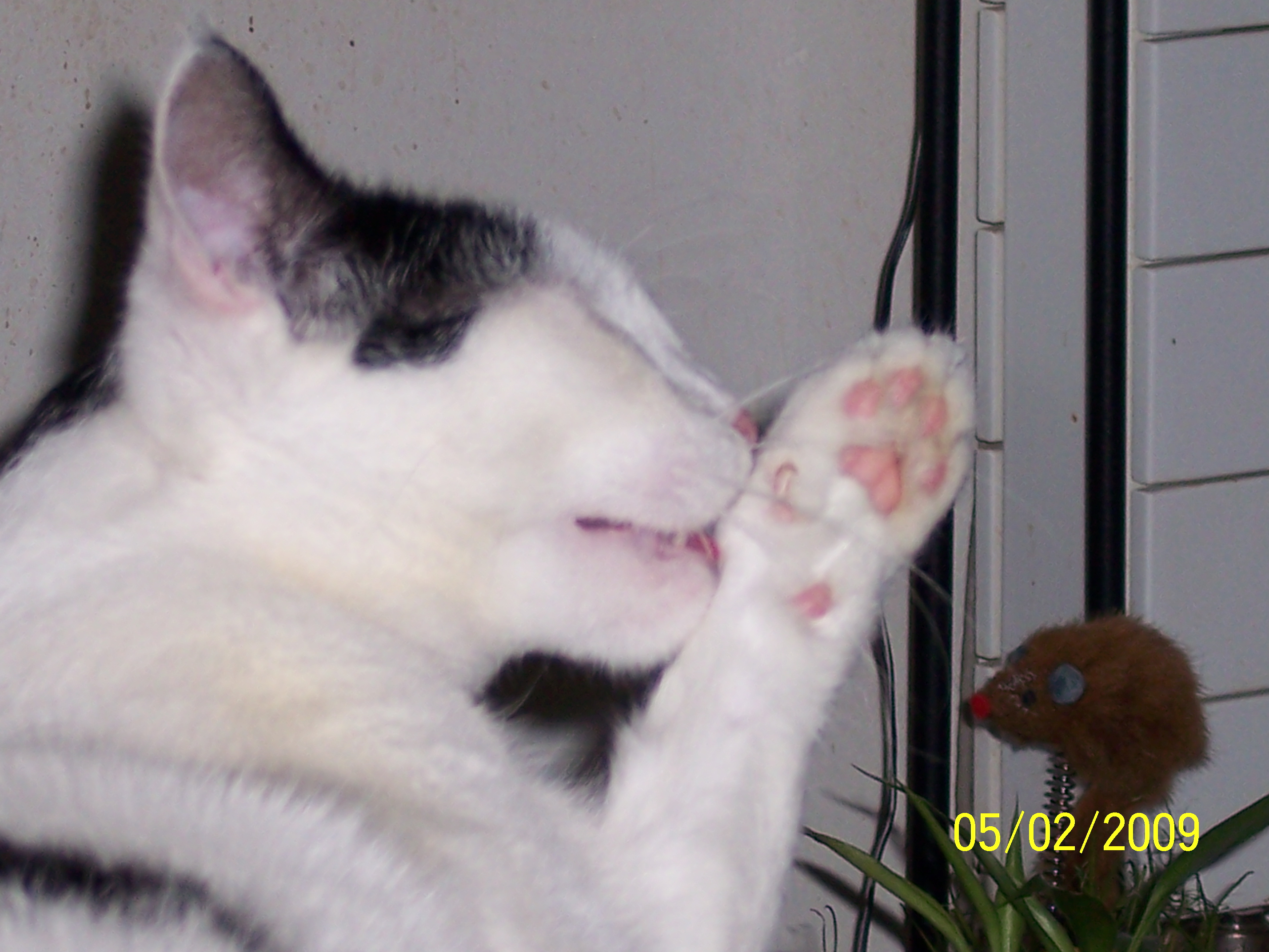 100_1813.JPG