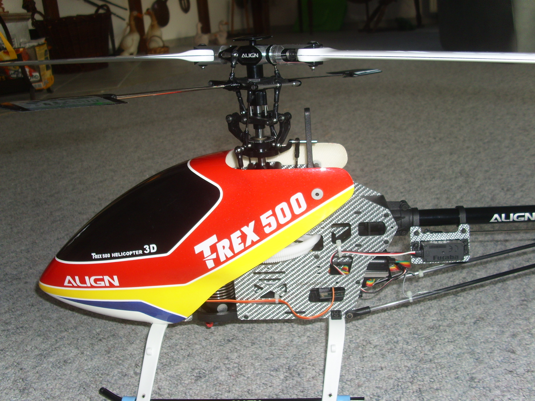 DSCI0021.JPG