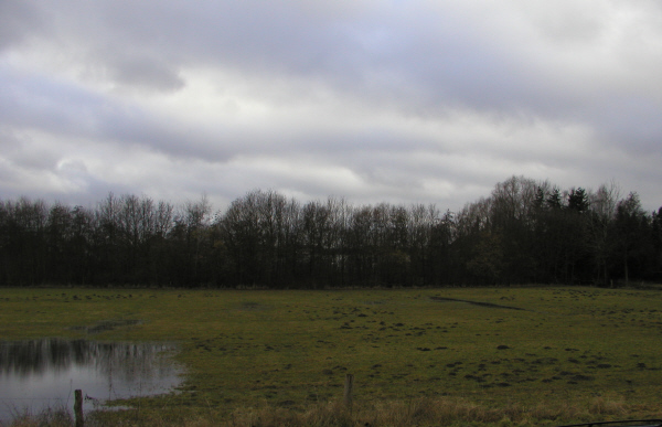 Blick vom Balkon