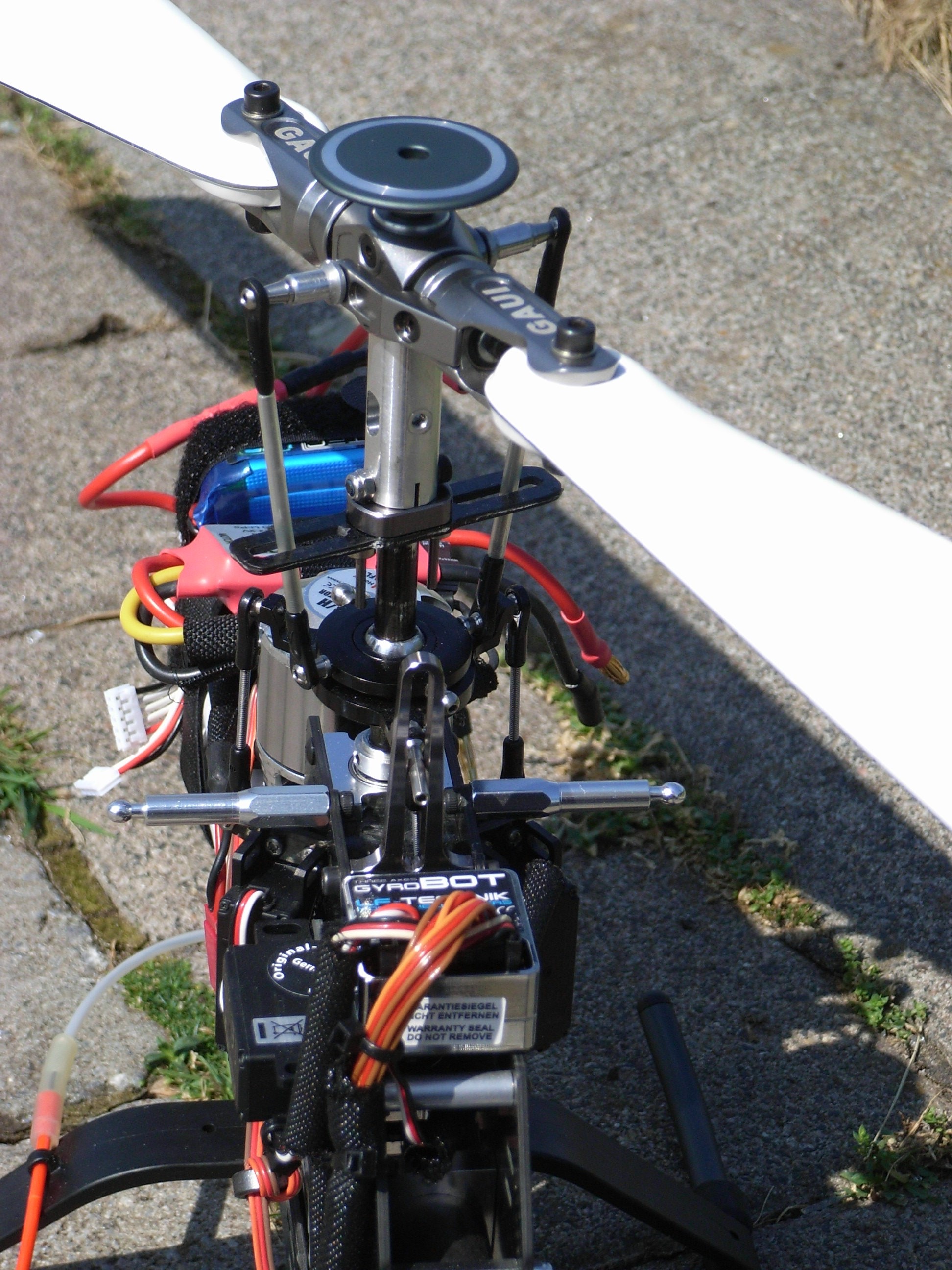 RIMG0163.JPG