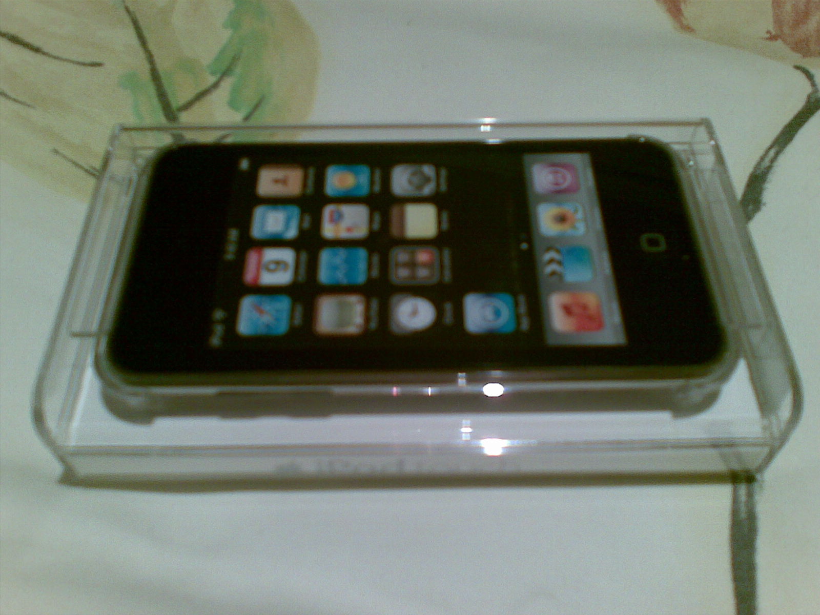 Ohne Verpackung nur in transparenter PVC Hülle.