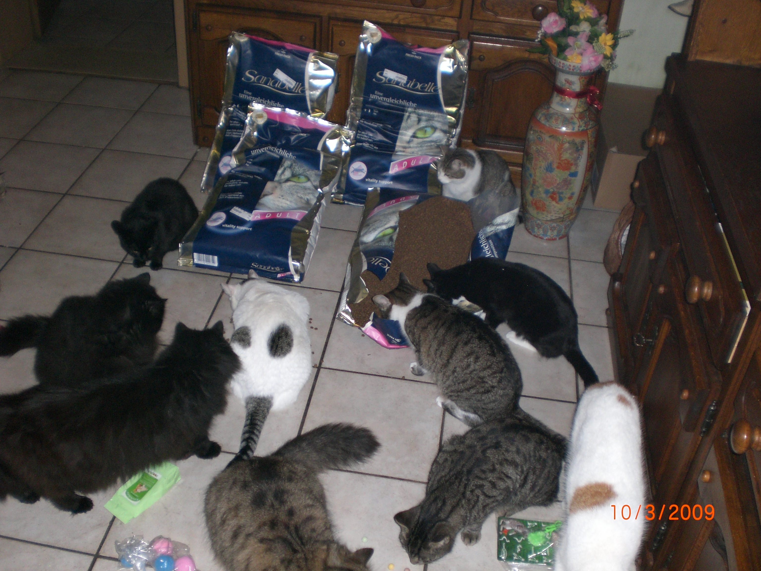 Lester07.03.09 006.jpg