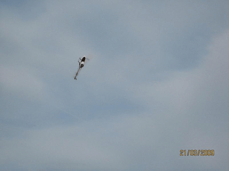 Logo Flug.gif
