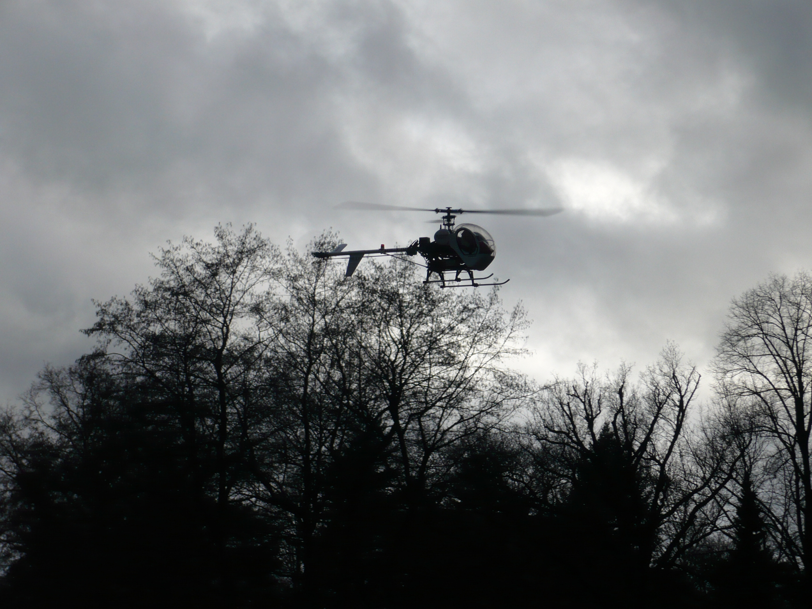 SCHWEIZER300-1.JPG
