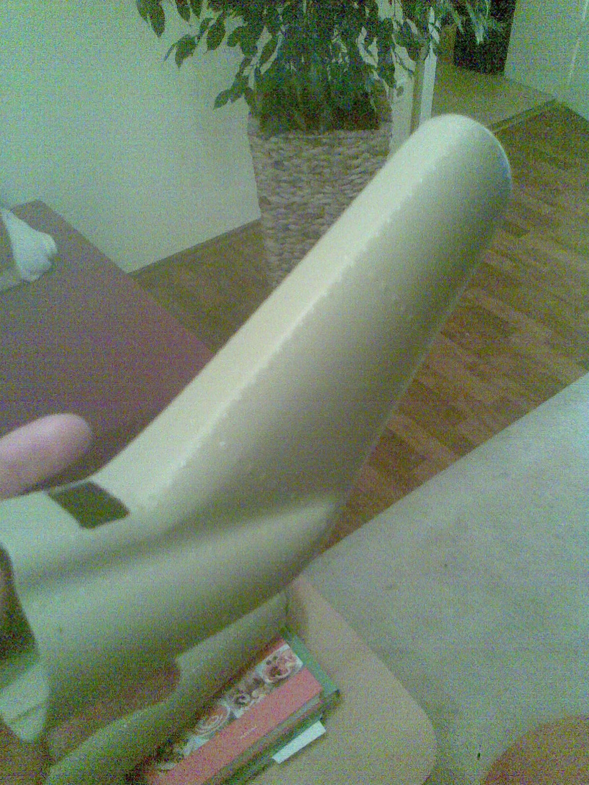 Bild364.jpg