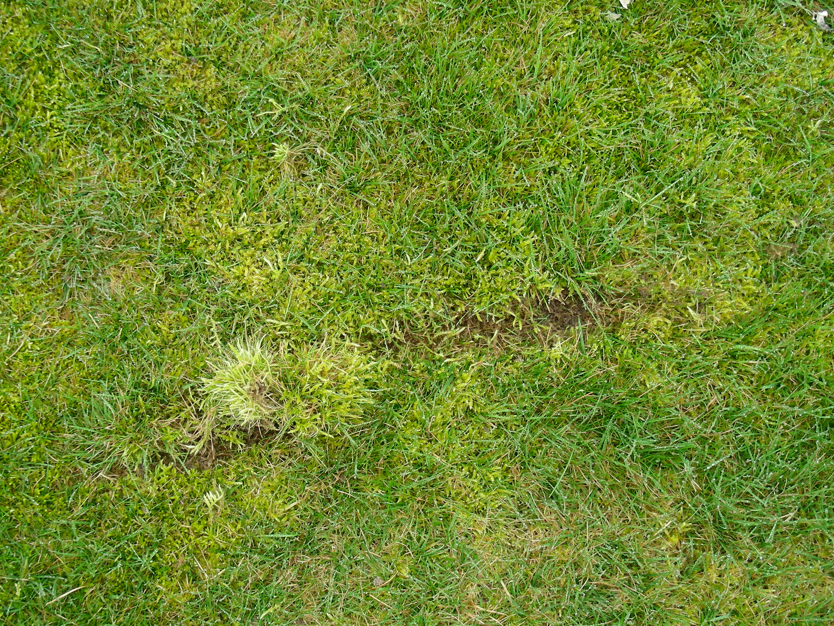 DSCN8176.JPG