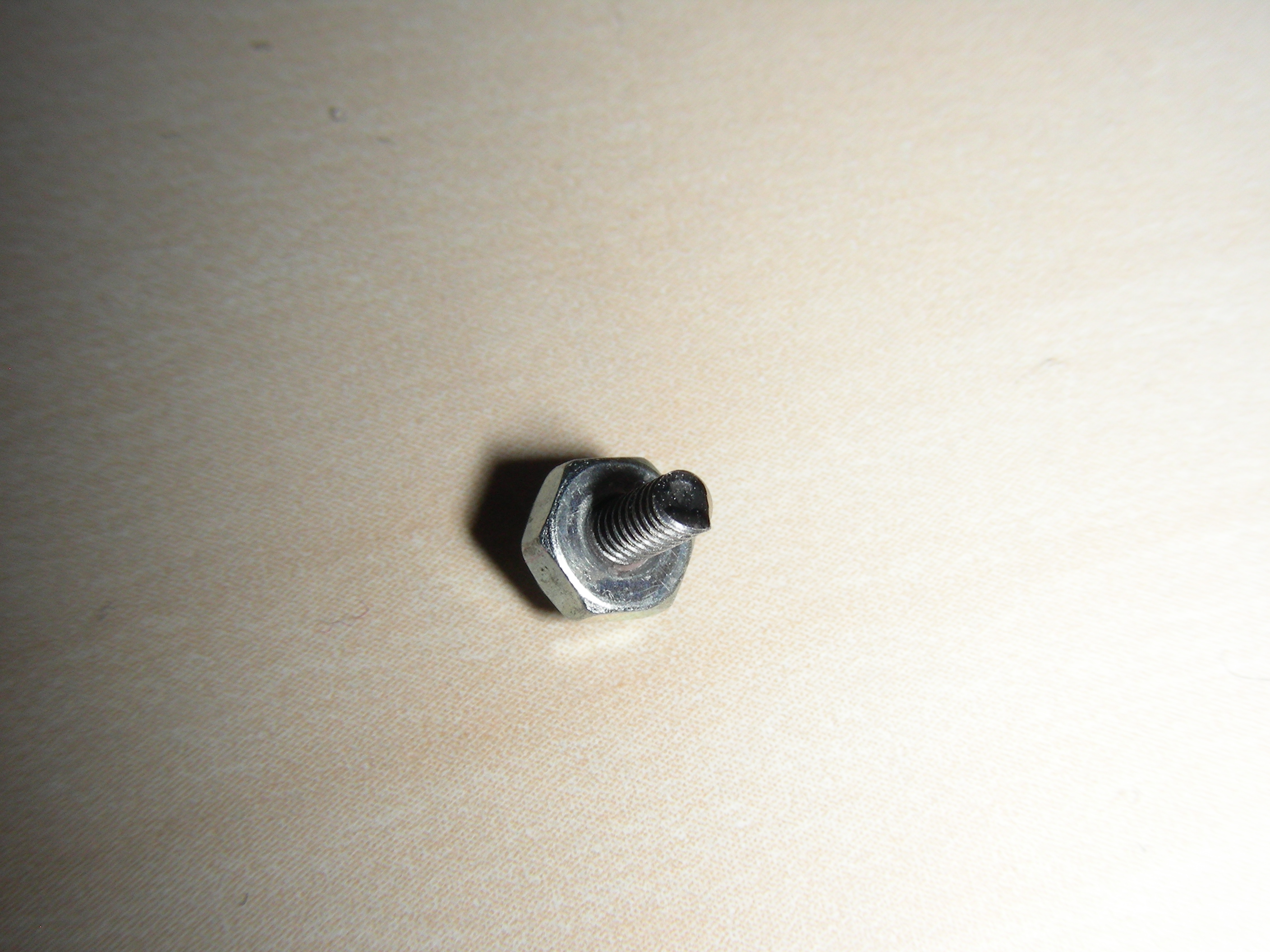 DSCN8173.JPG