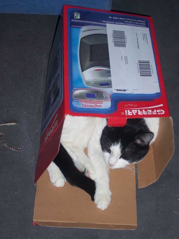 Klaus in ihrer neuen Höhle