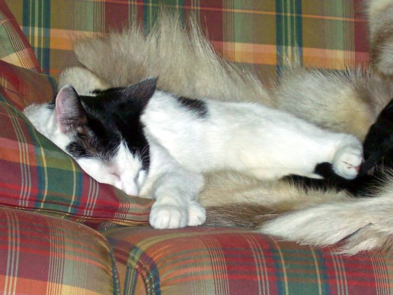 100_2209_small.jpg