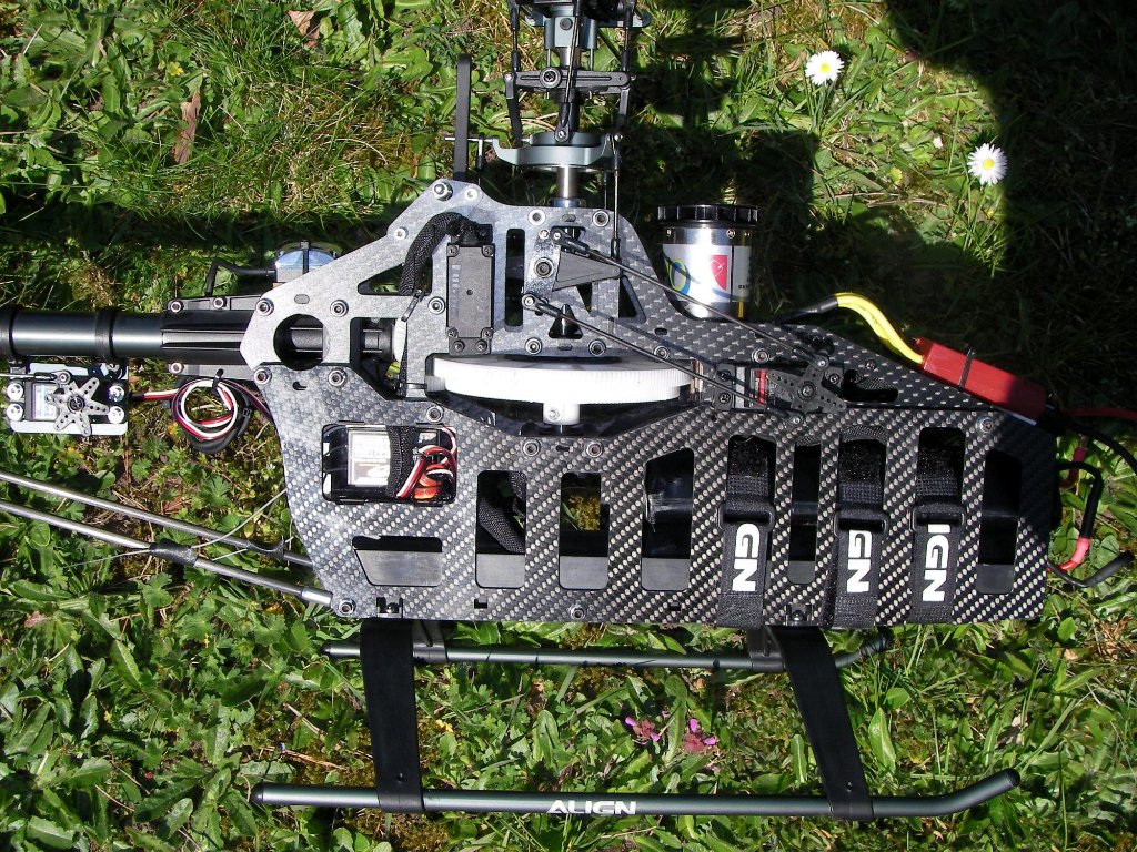 T-Rex600_08.JPG