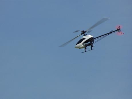 H1.JPG