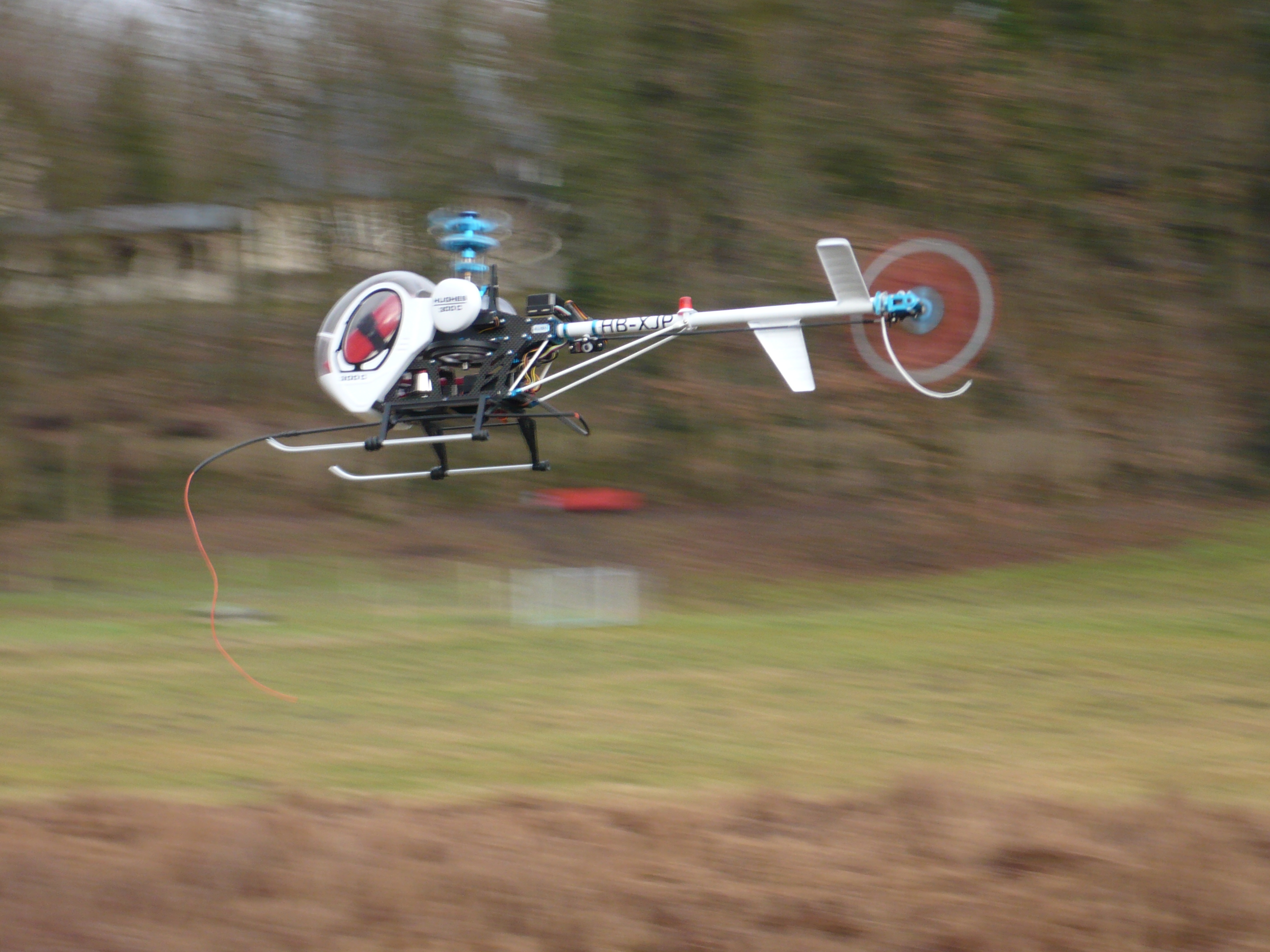 SCHWEIZER_300 (2).JPG