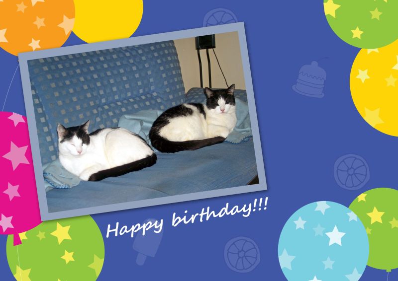 happy birthday.jpg