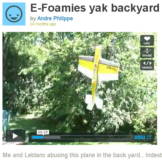 e-foamies_yak_backyard.jpg