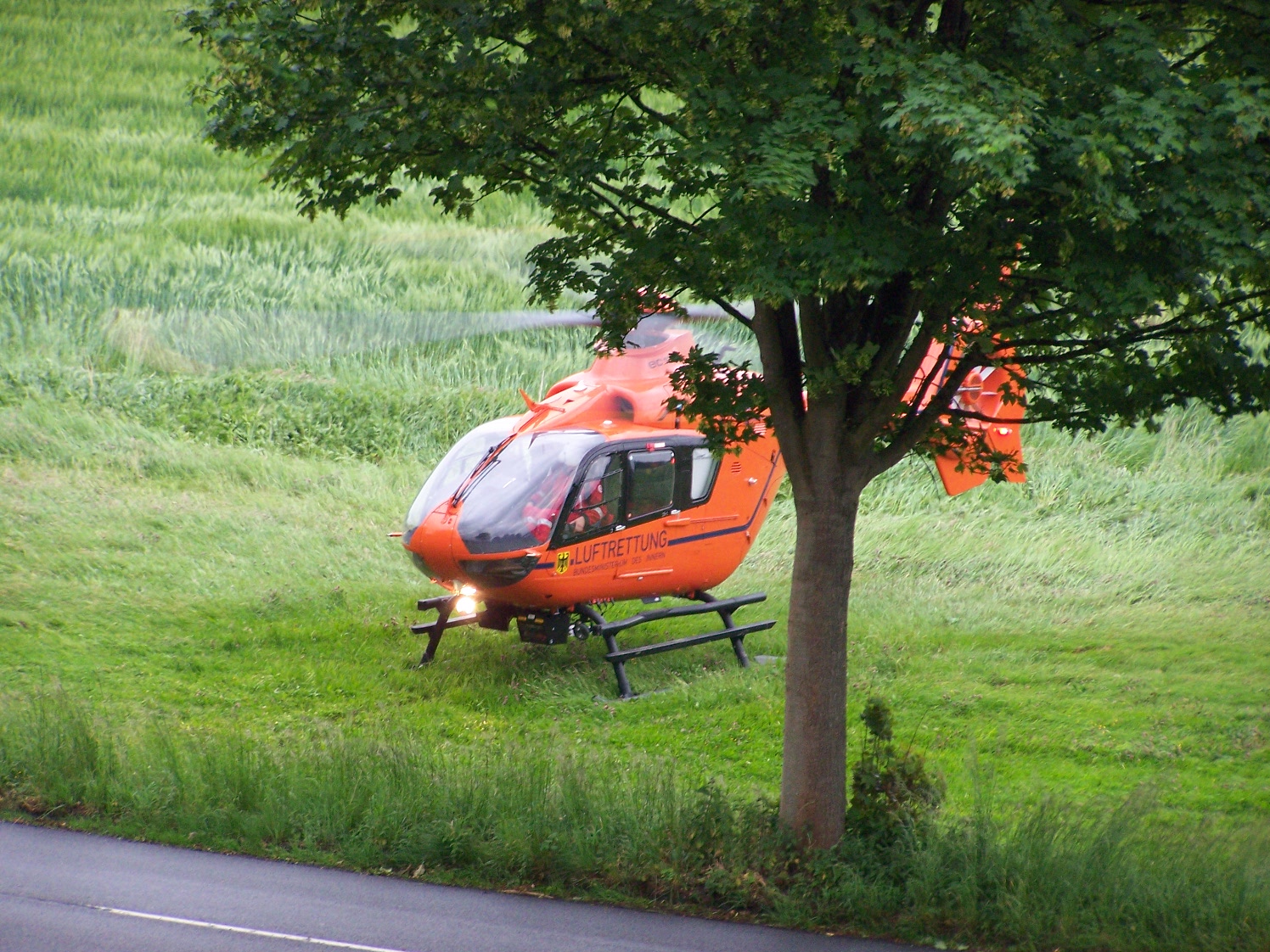 100_4162.JPG