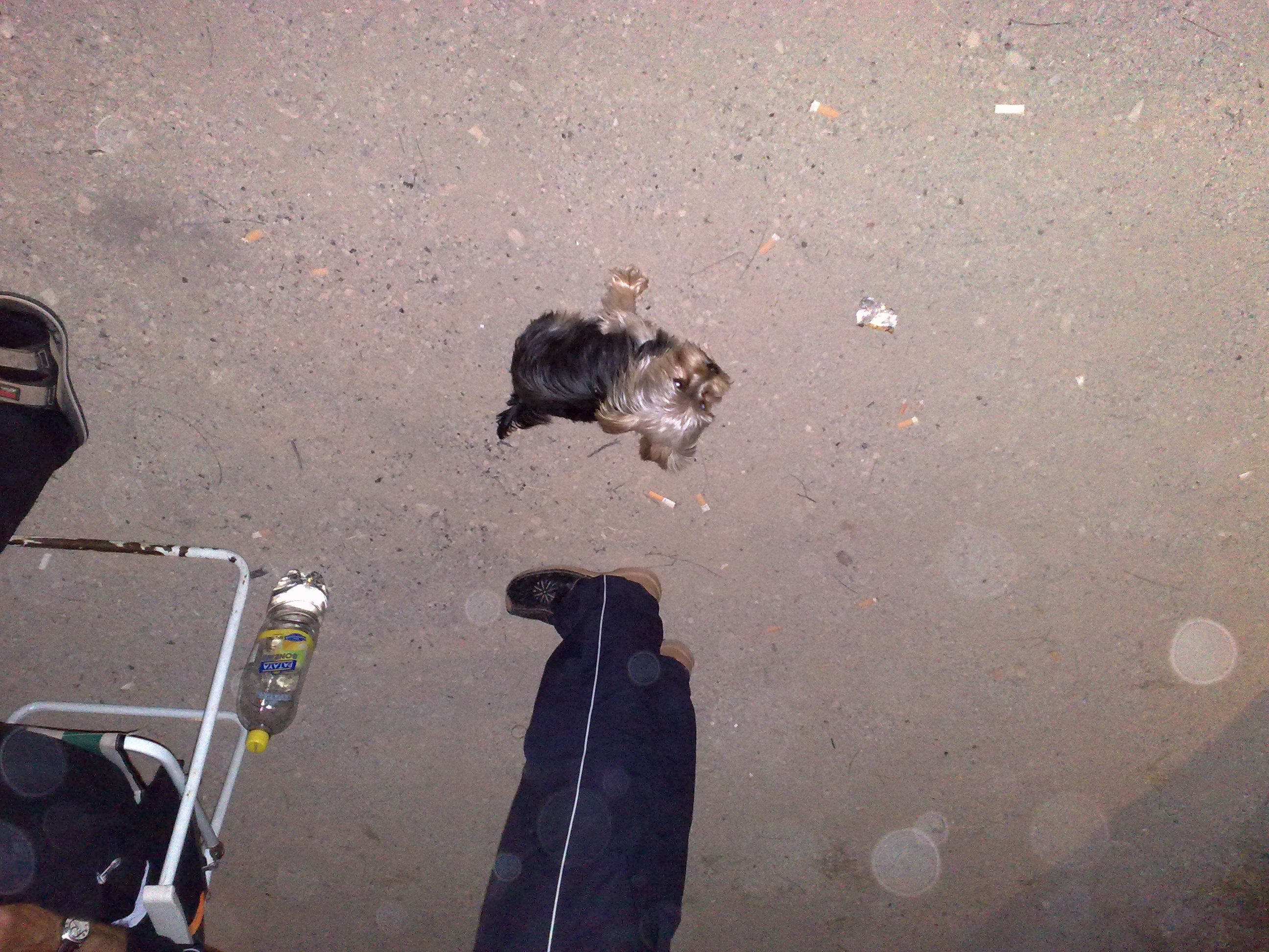 02082008397.jpg