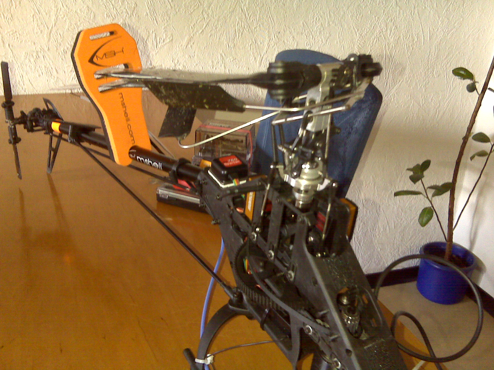 IMG00396.jpg