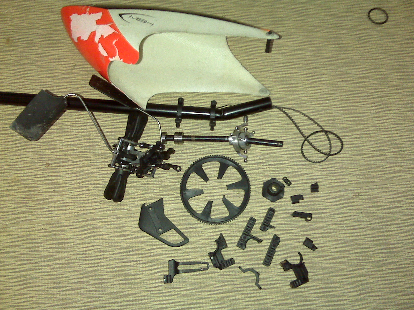 IMG00399.jpg