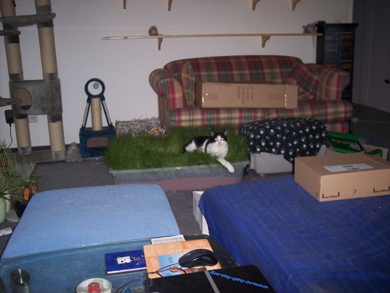 100_2304-small.jpg