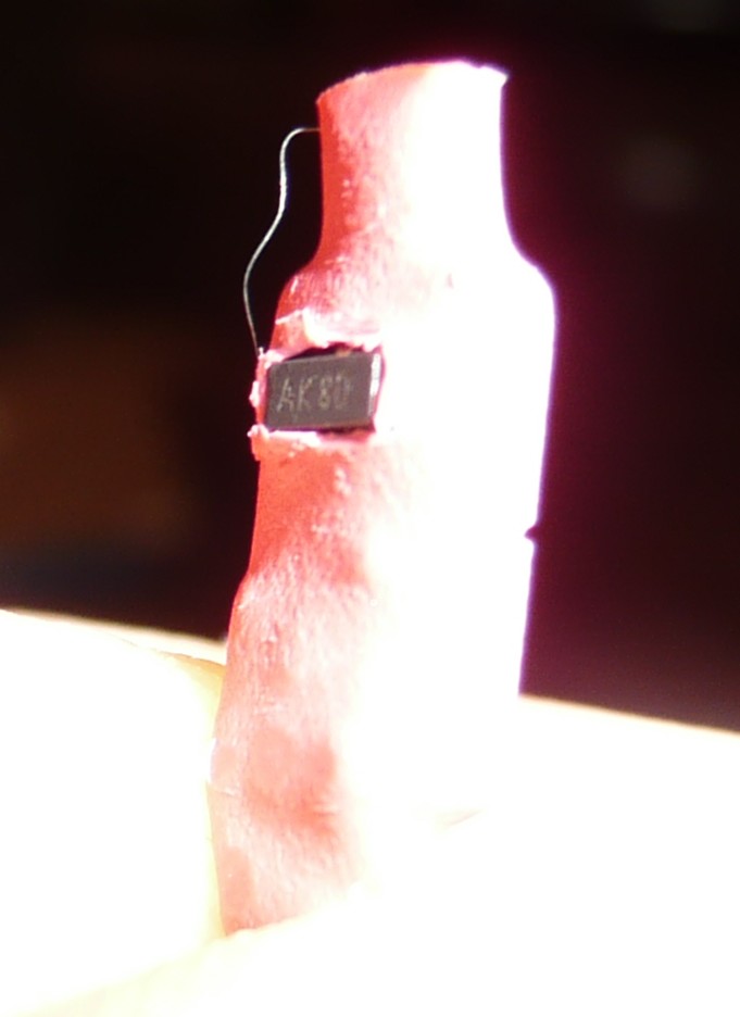 P1100025-1.JPG