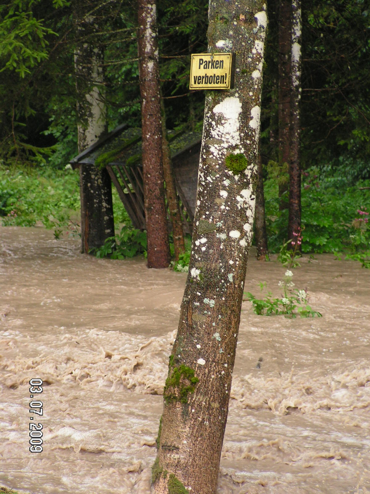 Oberkante Bachlauf