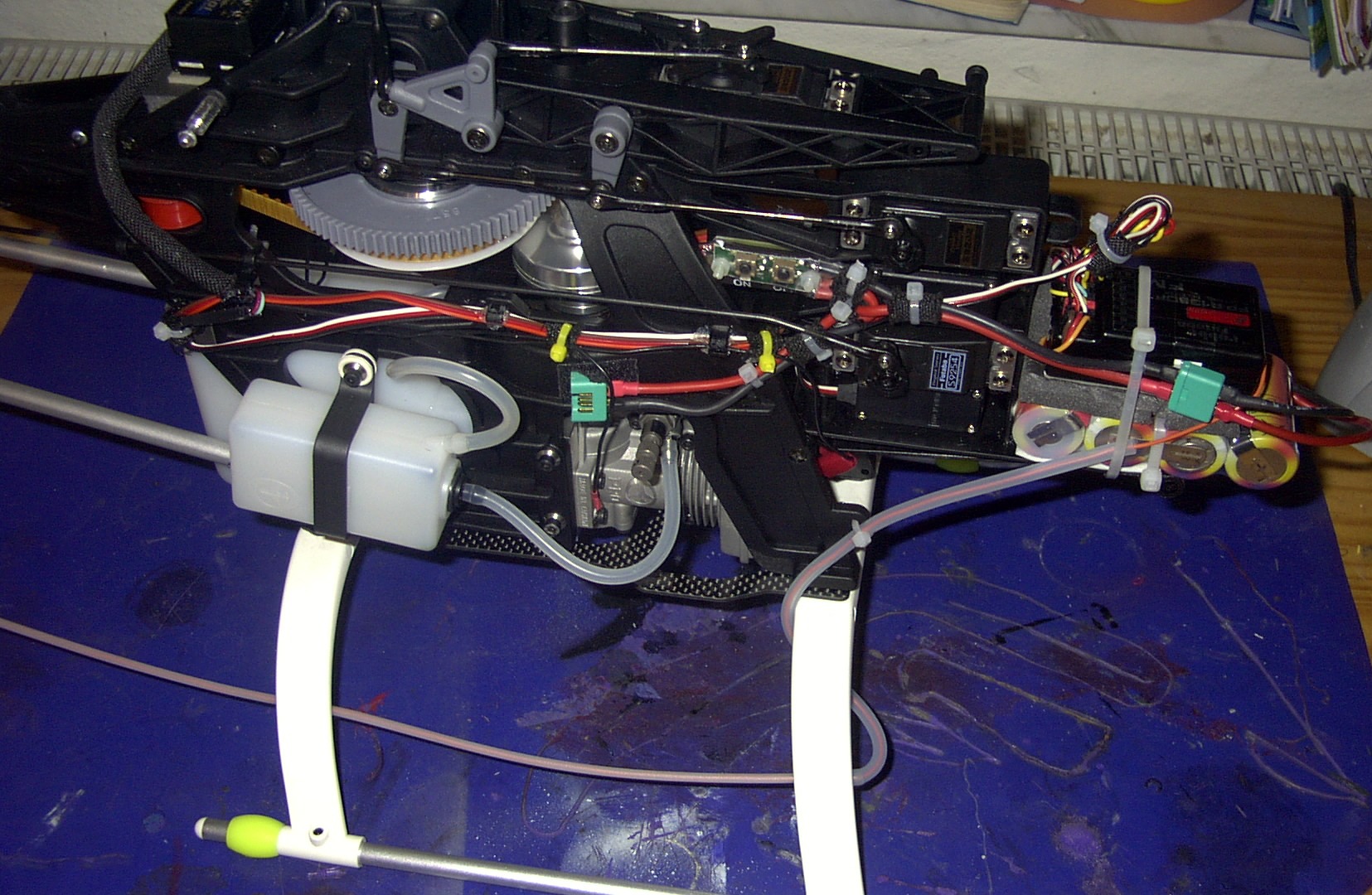 Raptor2.JPG