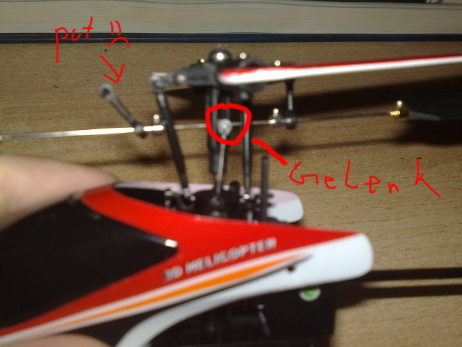 heli kopf.jpg