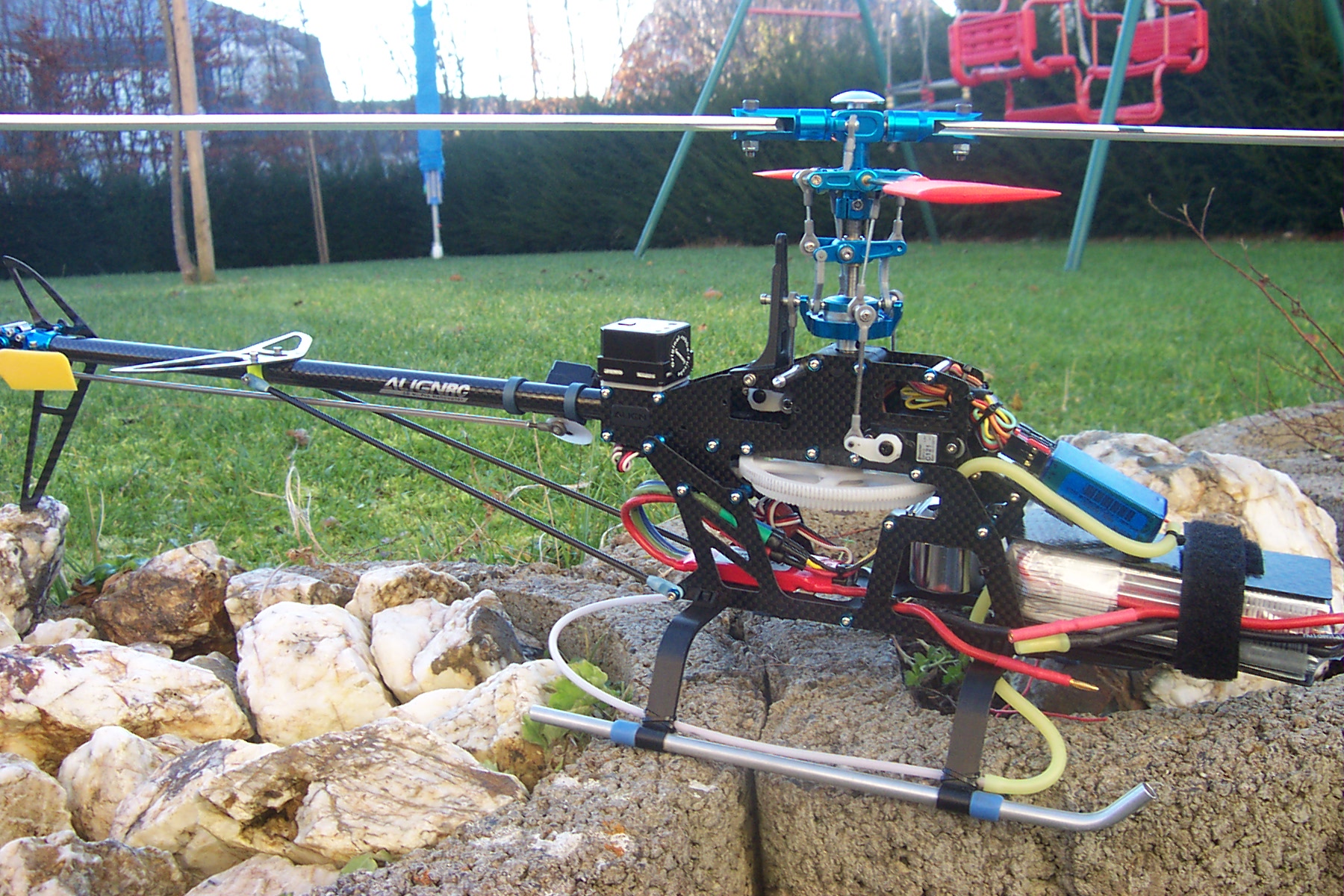 align carbon rex 007.jpg