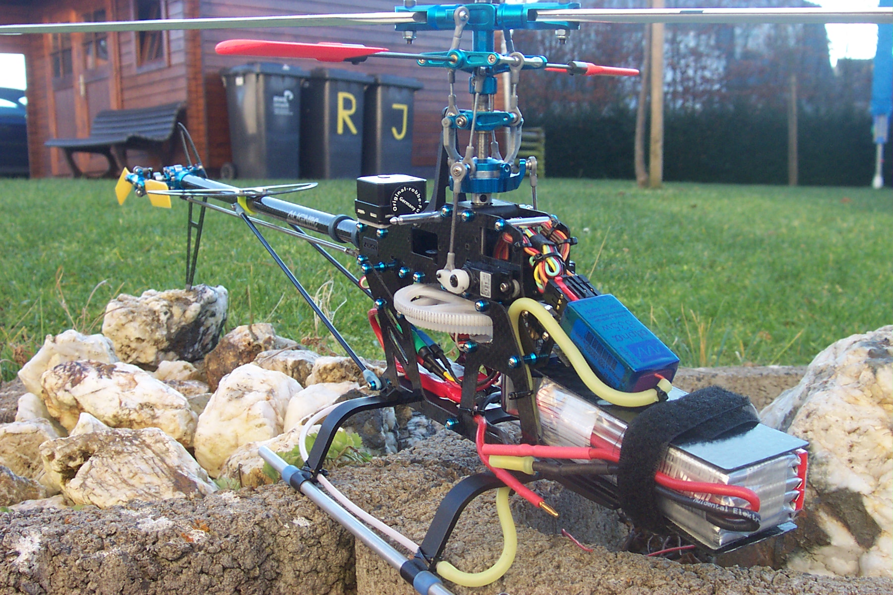 align carbon rex 008.jpg