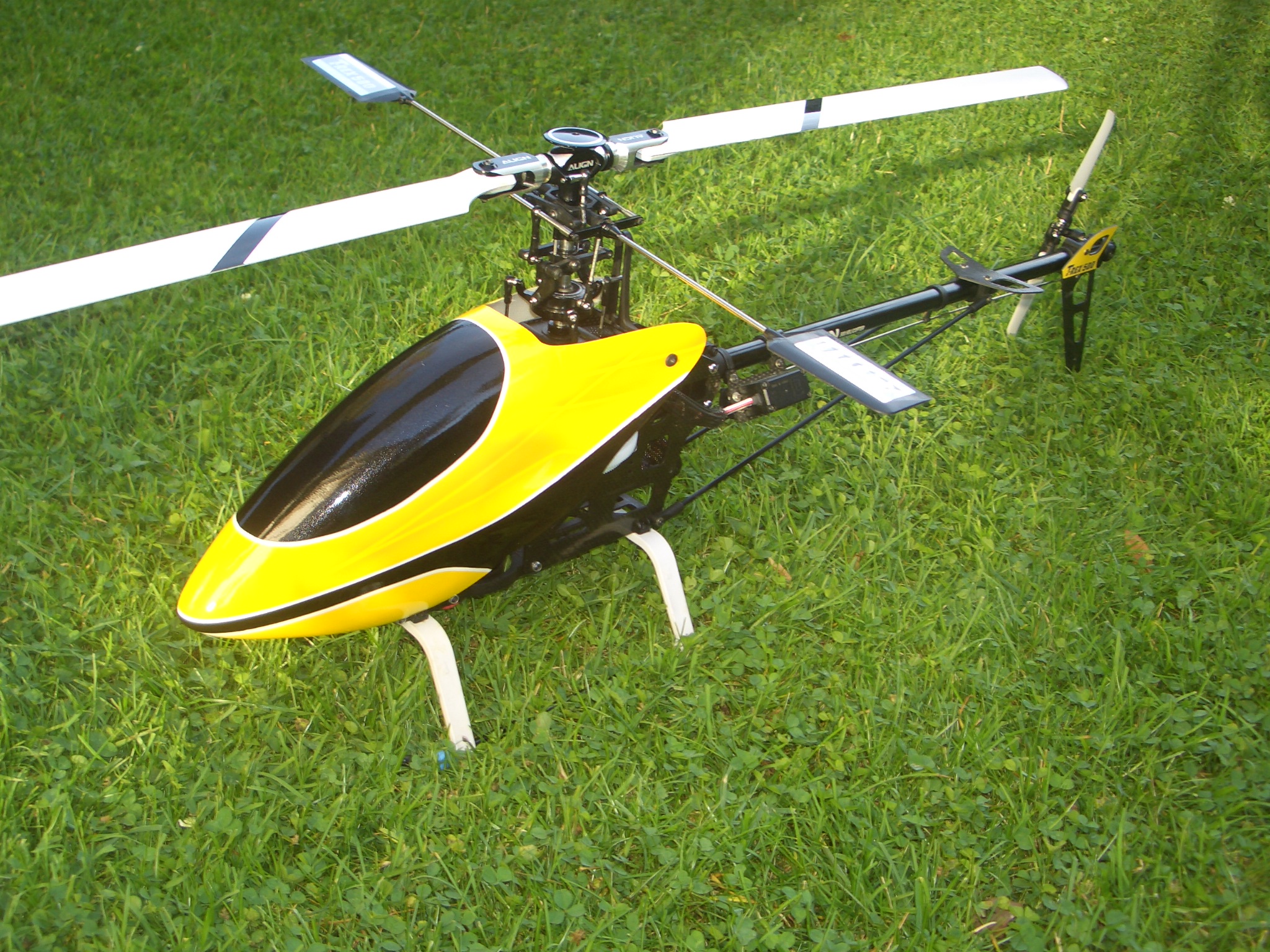 CIMG5097.JPG